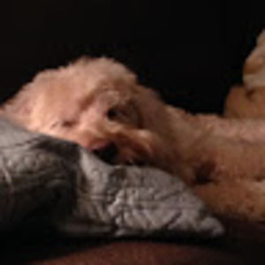 Meet your Posher, Kaitlyn